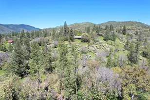 8264 Hwy 238, Jacksonville, OR 97530 - Photo 48