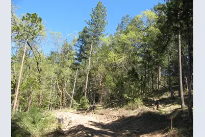 Bushnell Way #412, Grants Pass, OR 97527 - Photo 10