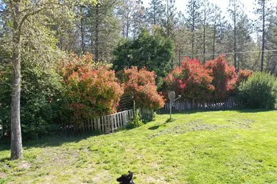 2970 Elk Lane, Grants Pass, OR 97527 - Photo 12