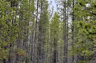 0 Tbd McNeale, Crescent Lake, OR 97733 - Photo 30