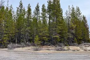 0 Tbd McNeale, Crescent Lake, OR 97733 - Photo 4