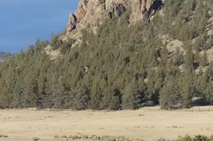 1428 NE Whistle Way, Prineville, OR 97754 - Photo 22