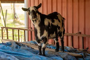 19189 Dayton Rd, Bend, OR 97703 - Photo 48