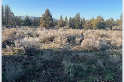 46038 Deer Springs Road #Lot 4, Beatty, OR 97621 - Photo 2