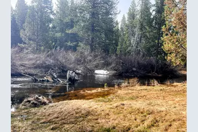 11762 Hemlock Creek Road, Crescent Lake, OR 97733 - Photo 8