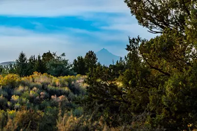 22989 Ghost Tree Lane #Lot 341, Bend, OR 97701 - Photo 18