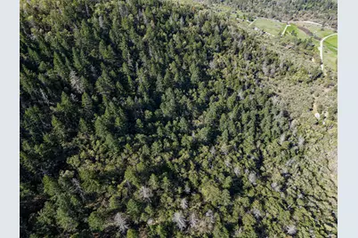 0 Humbug Cr Road, Applegate, OR 97530 - Photo 8