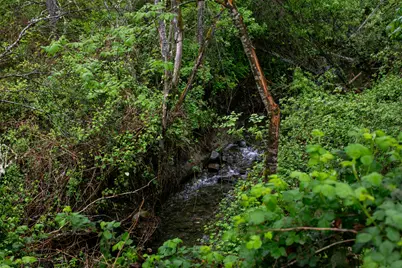 2661 Wards Creek Road, Rogue River, OR 97537 - Photo 2