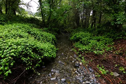2661 Wards Creek Road, Rogue River, OR 97537 - Photo 6