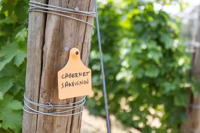 7575 Torrey Pines Terrace, Eagle Point, OR 97524 - Photo 18