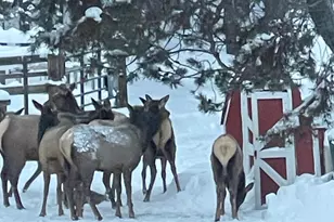 17235 S Century Dr, Bend, OR 97707 - Photo 56