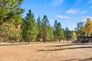 24100 E Evans Creek Rd, White City, OR 97503 - Photo 100