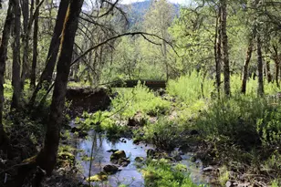 24100 E Evans Creek Rd, White City, OR 97503 - Photo 116