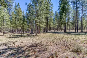 13582 Hollyhock, Black Butte Ranch, OR 97759 - Photo 48