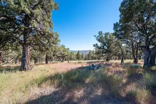 12400 SE Cotton Tail Ln, Prineville, OR 97754 - Photo 82