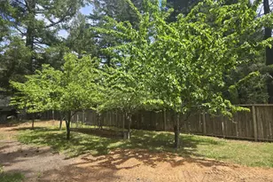 140 Bonanza Dr, Selma, OR 97538 - Photo 24