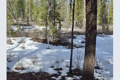 Kokanee, Gilchrist, OR 97737 - Photo 28