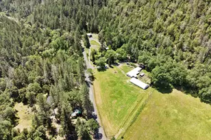 3554 Thompson Creek Rd, Applegate, OR 97530 - Photo 44