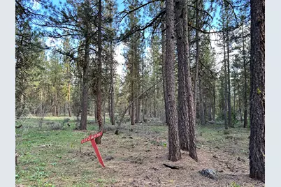 Red Deer Lane #Lot 2, Bonanza, OR 97623 - Photo 4