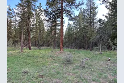 Red Deer Lane #Lot 2, Bonanza, OR 97623 - Photo 1
