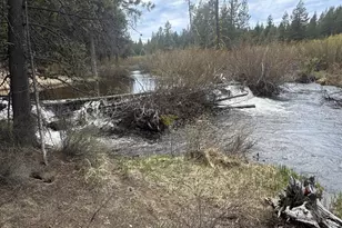 124868 Mowich St, Crescent Lake, OR 97733 - Photo 30