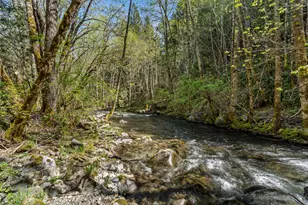 2800 Cedar Flat Rd, Williams, OR 97544 - Photo 6