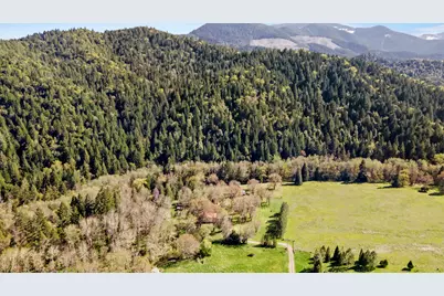 2800 Cedar Flat Road, Williams, OR 97544 - Photo 44