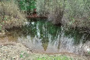 5400 Lakeshore Dr, Selma, OR 97538 - Photo 10