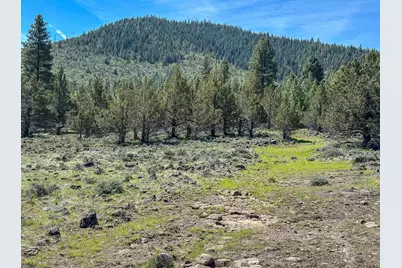 Shamrock #Lots 7 & 8, Keno, OR 97627 - Photo 2