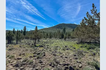 Shamrock #Lots 7 & 8, Keno, OR 97627 - Photo 6
