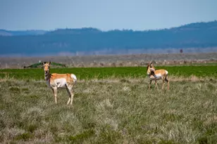 82678 Shotgun Pass Ln, Christmas Valley, OR 97641 - Photo 46