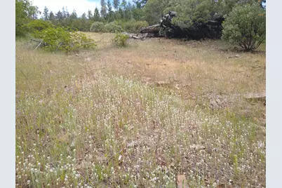 0 Map&taxlot 332E09 600, Hwy 62, Prospect, OR 97536 - Photo 18