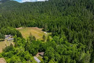 1001 Indian Creek Rd, Selma, OR 97538 - Photo 44