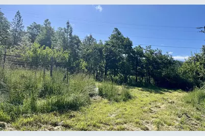 7255 Holland Loop Road, Cave Junction, OR 97523 - Photo 16