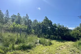 7255 Holland Loop Rd, Cave Junction, OR 97523 - Photo 16