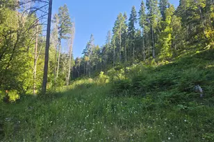 261 Fay Ln, Wolf Creek, OR 97497 - Photo 52