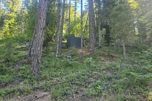 261 Fay Ln, Wolf Creek, OR 97497 - Photo 54