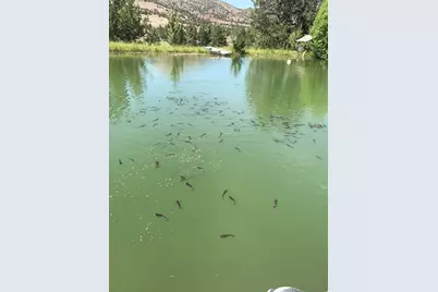 33817 Gage Road, Mitchell, OR 97750 - Photo 42