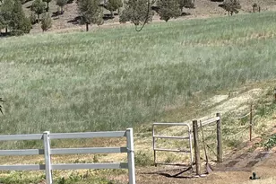 33817 Gage Rd, Mitchell, OR 97750 - Photo 48