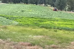 33817 Gage Rd, Mitchell, OR 97750 - Photo 44