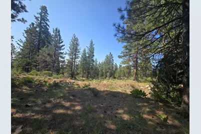 Meadow Lark Drive #Lot 12, Bonanza, OR 97623 - Photo 6