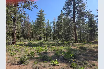 Meadow Lark Drive #Lot 12, Bonanza, OR 97623 - Photo 12