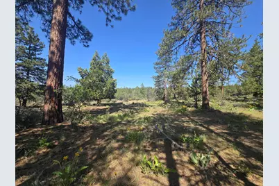 Meadow Lark Drive #Lot 12, Bonanza, OR 97623 - Photo 8