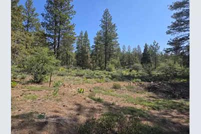 Meadow Lark Drive #Lot 12, Bonanza, OR 97623 - Photo 1