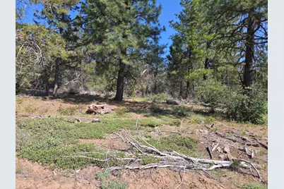 Meadow Lark Drive #Lot 12, Bonanza, OR 97623 - Photo 16