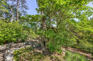 6268 Little Applegate Rd, Jacksonville, OR 97530 - Photo 24