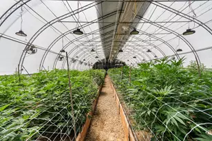 5619 Butte Falls Hwy, Eagle Point, OR 97524 - Photo 38