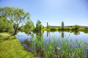 13334 Modoc Rd, White City, OR 97503 - Photo 12