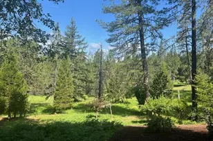 1280 Marcy Loop Rd, Grants Pass, OR 97527 - Photo 22