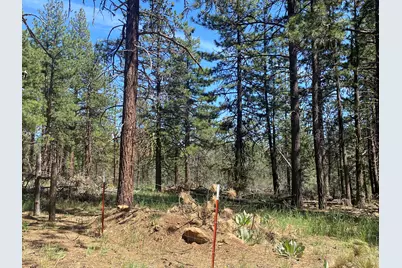 12543 Night Owl Drive, Bonanza, OR 97623 - Photo 20